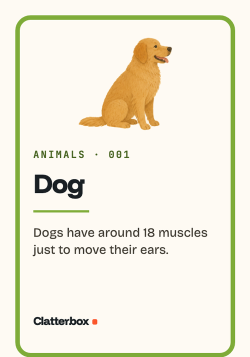 Printed card: Dog. Dogs have around 18 muscles just to move their ears.