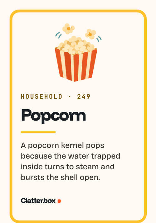 Printed card: Popcorn. A kernel pops because the water trapped inside turns to steam and bursts the shell open.
